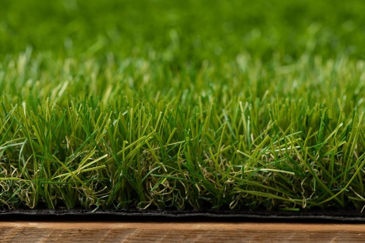 grassland 1