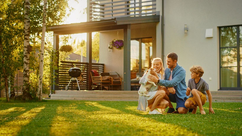 mufuplacc cikkhez kep 2