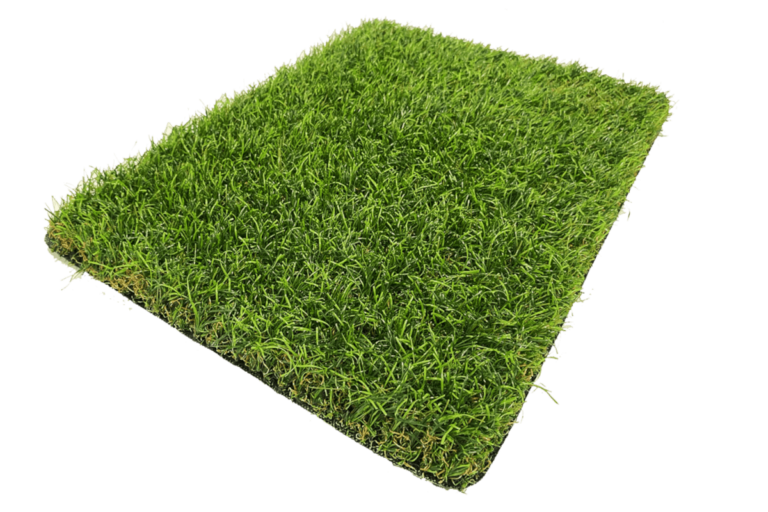 nature profil grassland 2024