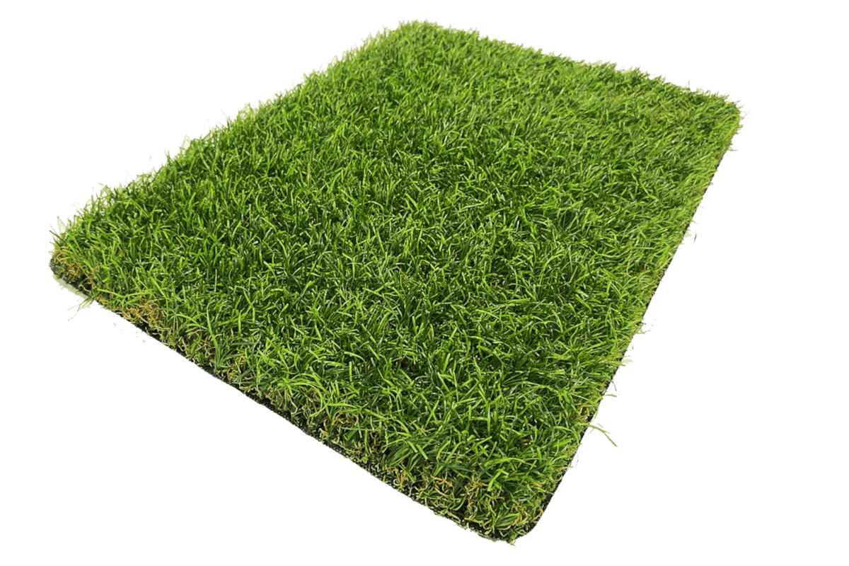 nature profil grassland 2024