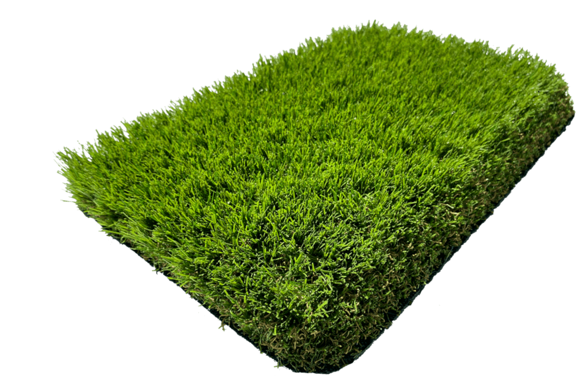 novara divine grassland 2024