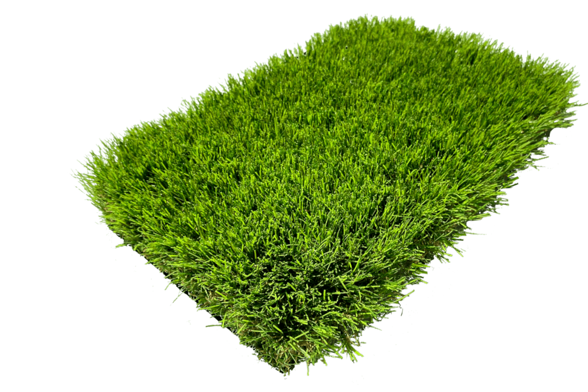 novastar profil grassland 2024