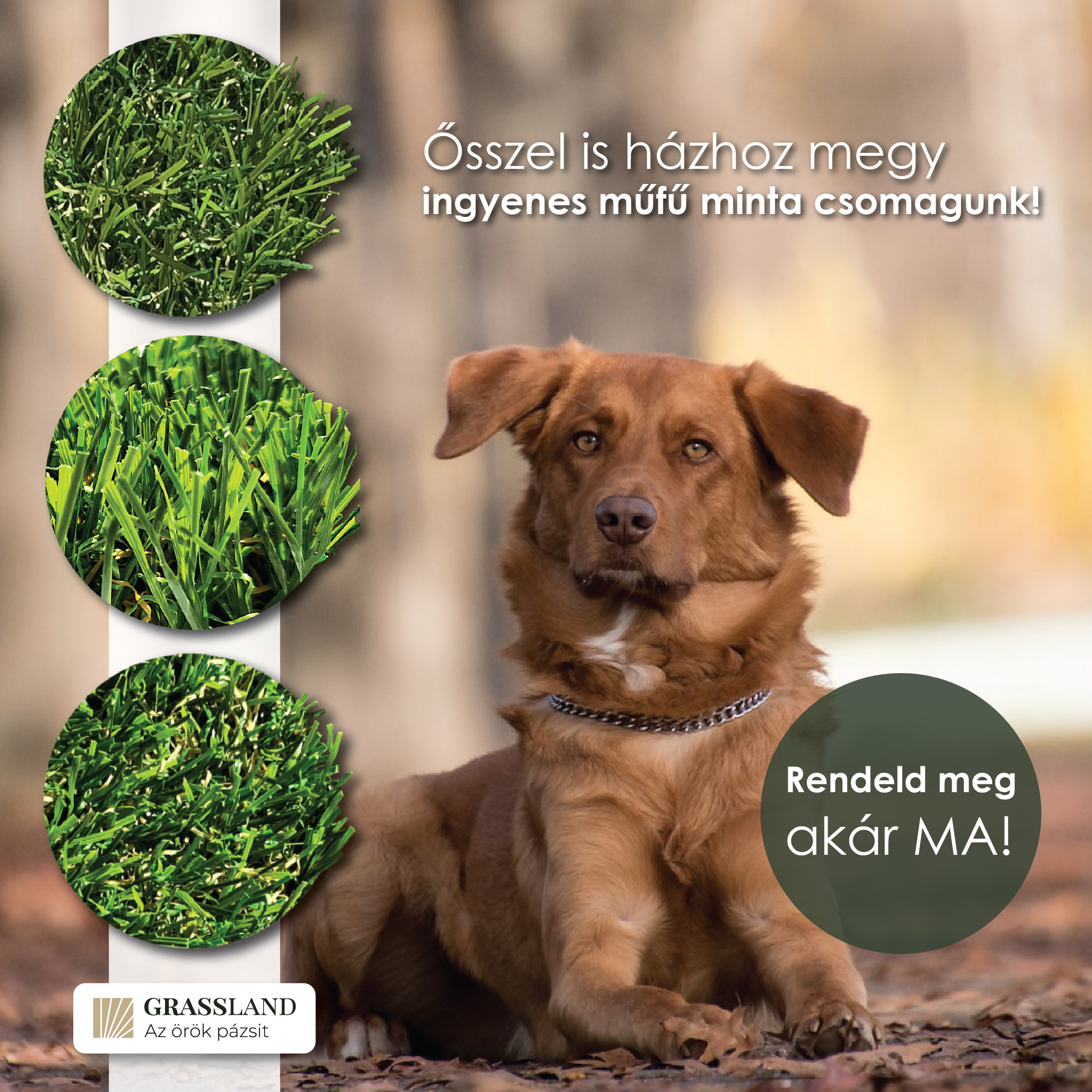 oszi mufu mintcsomag 01