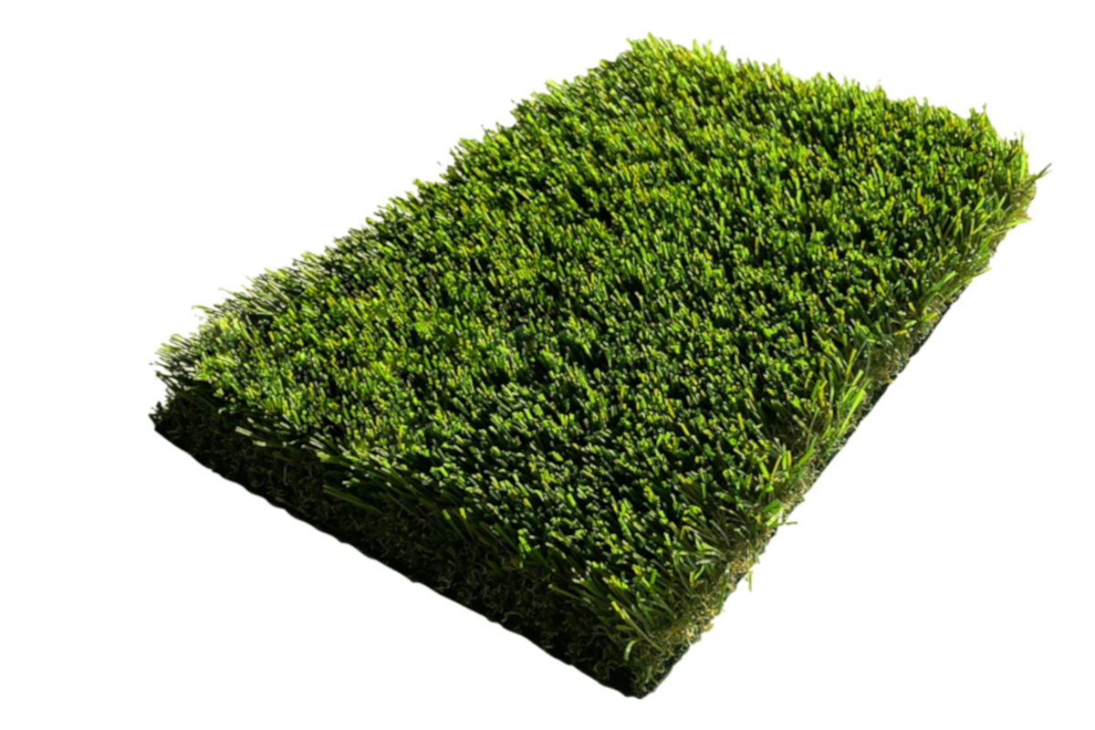 trinidad shuffle profil grassland 2024